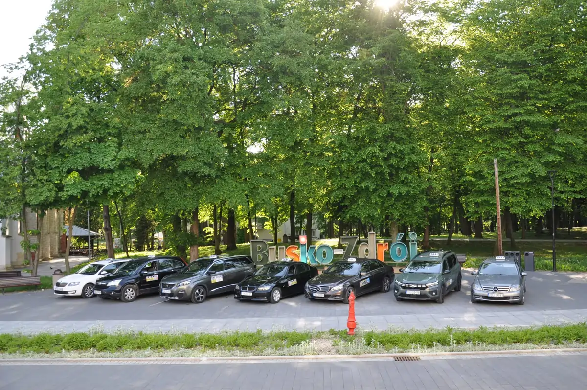 Profesjonalne taksówki Tele-Taxi w Busku-Zdroju